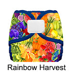 Thirsties diaper cover hook and loop Rainbow Harvest