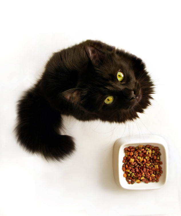 Best food for cats clearance with crystals