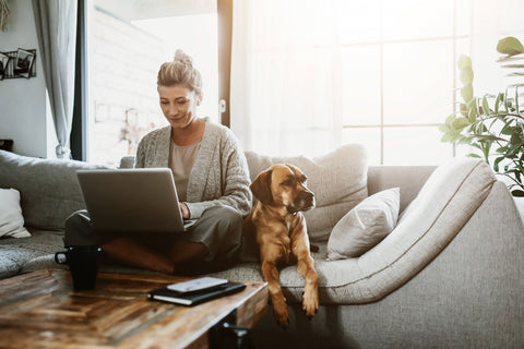 Businesswoman working on laptop computer sitting at home with a dog pet