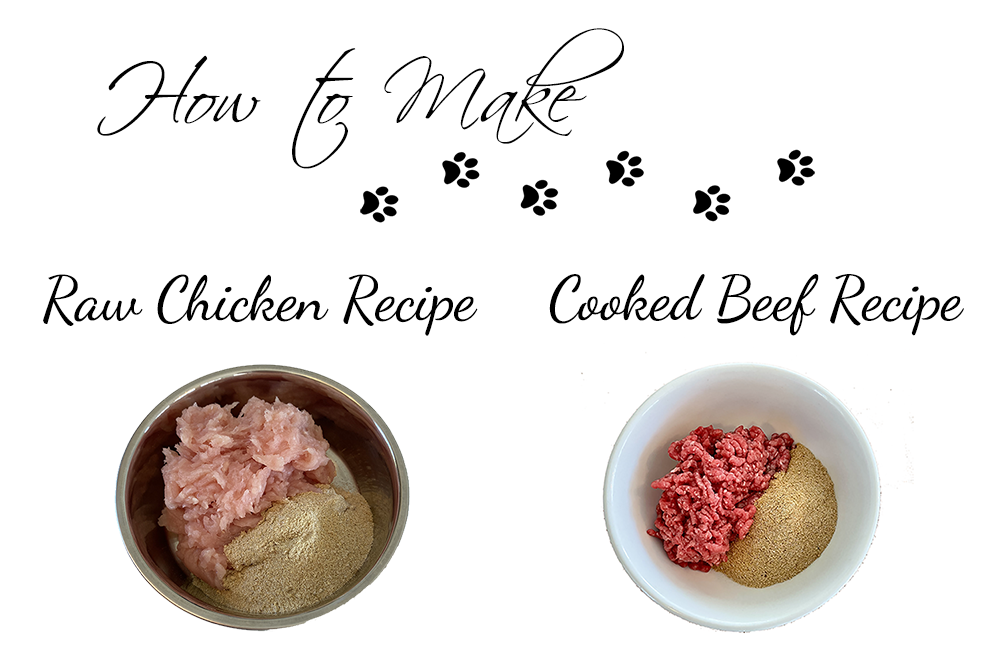 Simple cat shop food recipe