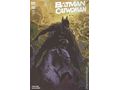Comic Books DC Comics - Batman and Catwoman 008 - Charest Variant Edition (Cond. VF-) - 9504 - Cardboard Memories Inc.