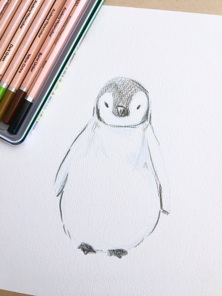 Penguin Watercolor Pencil Sketch