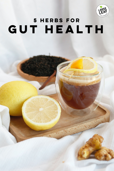 herbs for gut health