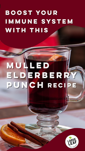 A glass of mulled elderberry punch with a cinnamon stick.