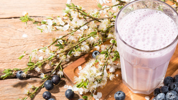 iced blueberry lavender latte with fresh blueberries and edible flowers on wooden table
