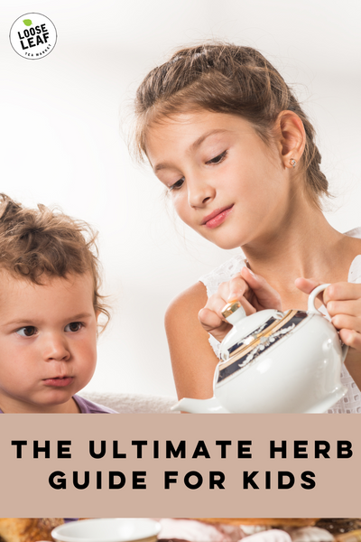 the ultimate herb guide for kids