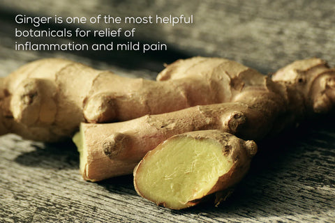 graphic ginger for inflammation and mild pain