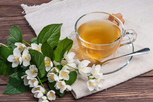 freshly brewed jasmine green tea with fresh jasmine tea flowers on the side