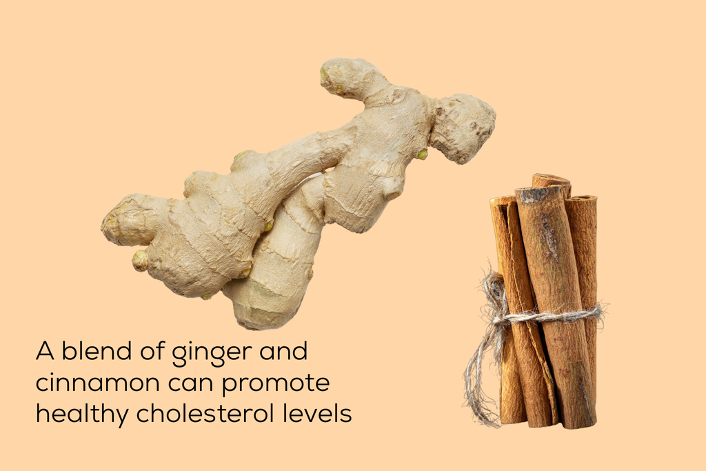 graphic with ginger root and cinnamon sticks