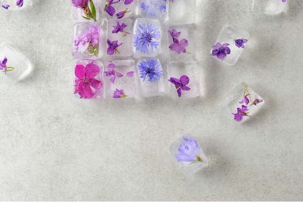 lavender ice cubes with lavender and hibiscus flowers on kitchen counter
