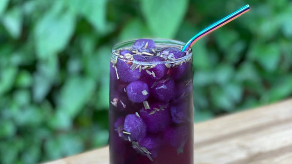 purple lavender iced tea with tea ice cubes in natural setting