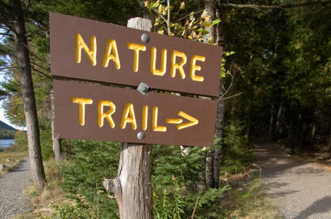 Visit A Local Park Or Nature Preserve/Go For A Walk!