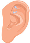 Rook Piercing Size Chart