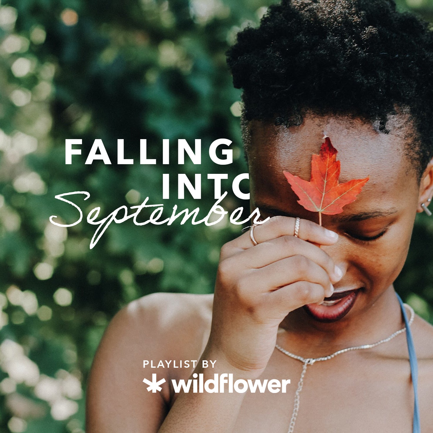 Wildflower Wellness CBD and music Spotify playlist