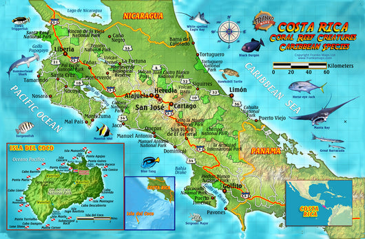 Map Of Costa Rica Caribbean Coast Costa Rica Caribbean Fish Card – Franko Maps