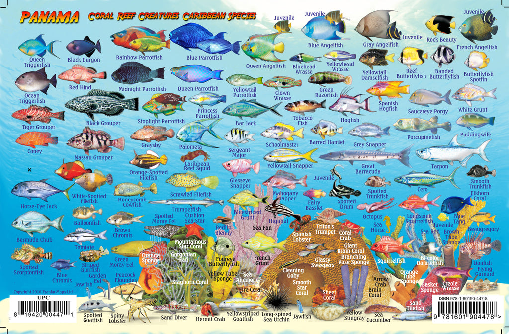 Panama caribbean Fish Card – Franko Maps