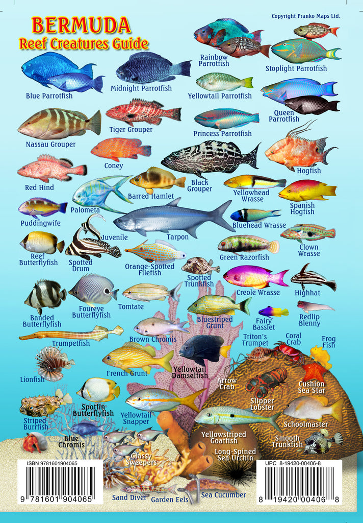 Bermuda Mini Fish Card – Franko Maps