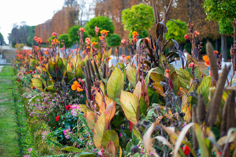 couleurs d'automne Audrey Langlois Paris