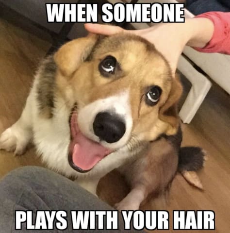 when someone plays with your hair meme