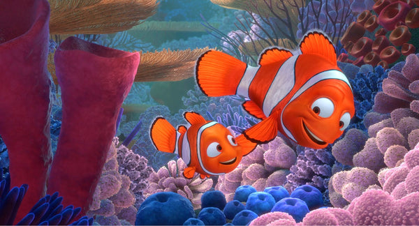 Finding Nemo_Seven Season Daily