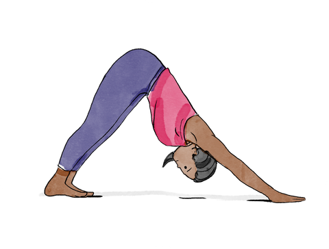 Downward Facing Dog Pose Plank Pose Flow Yoga (Adho Mukha