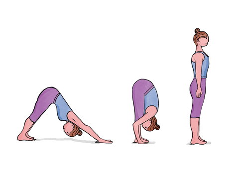 Hastapadotasana Or Standing Forward Bend | 50 yoga asanas you MUST try  before you turn 50 | Thehealthsite.com Photogallery