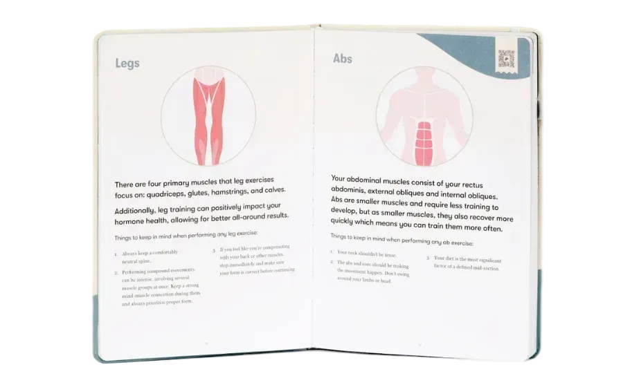 HWJ_Transformation-transformed.webp__PID:6216cbb4-fe26-4057-9eb9-9776d3aa4731