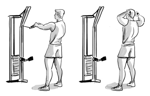 rear delt exercises face pulls