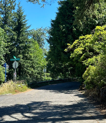 A favorite local climb, Westwood Dr.