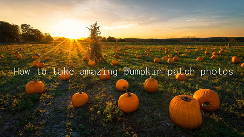 how to take amazing photos at the pumpkin patch