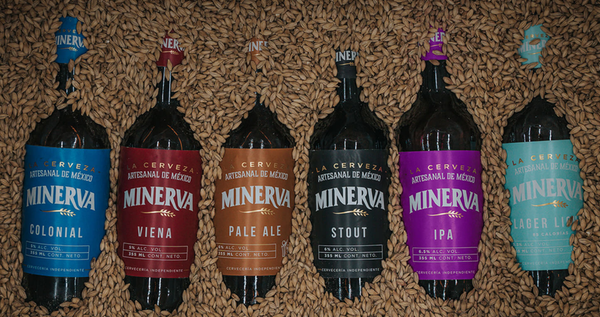 Minerva Mexican craft beer bottles lying in a bed of malted barley.