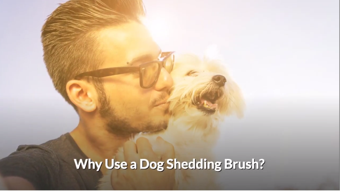 what do groomers use to deshed dogs