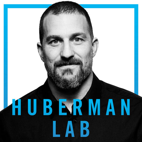 HUBERMAN LAB﻿﻿