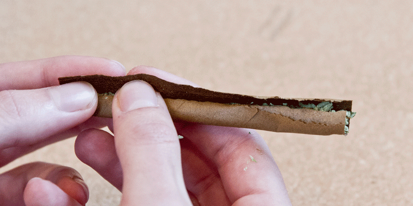 How To Roll A Blunt 6 Step Visual Guide Key To Cannabis 