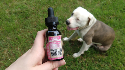 can drug dogs smell hemp oil