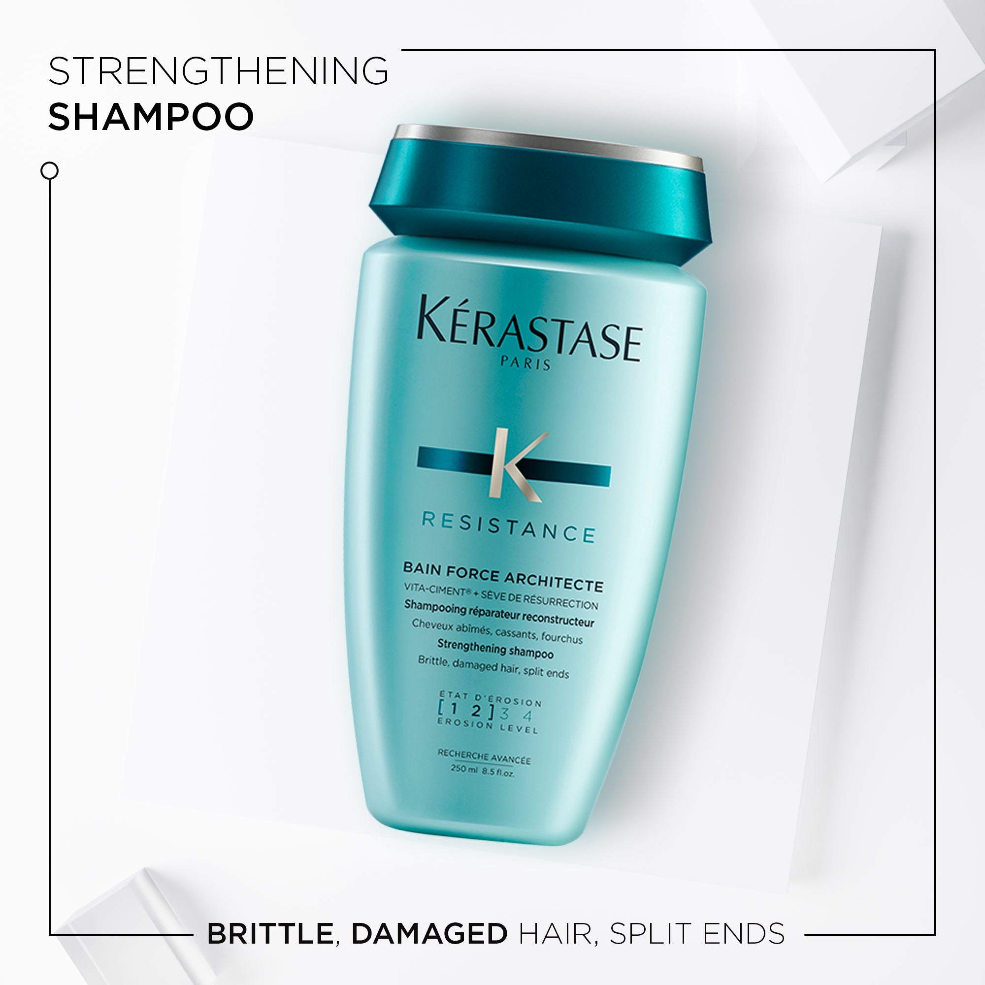 Læsbarhed Finde på Reskyd Kérastase Resistance Force Architecte Shampoo for Damaged Hair 250ml | OZ  Hair & Beauty