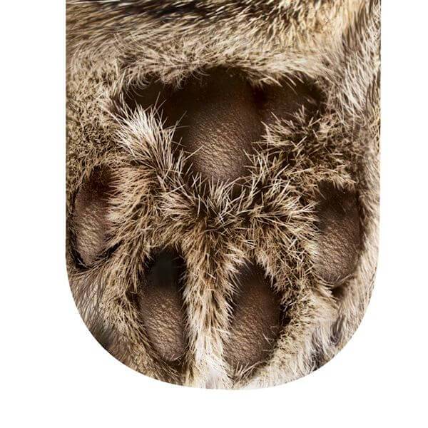 Cat Paw Socks Meowaish