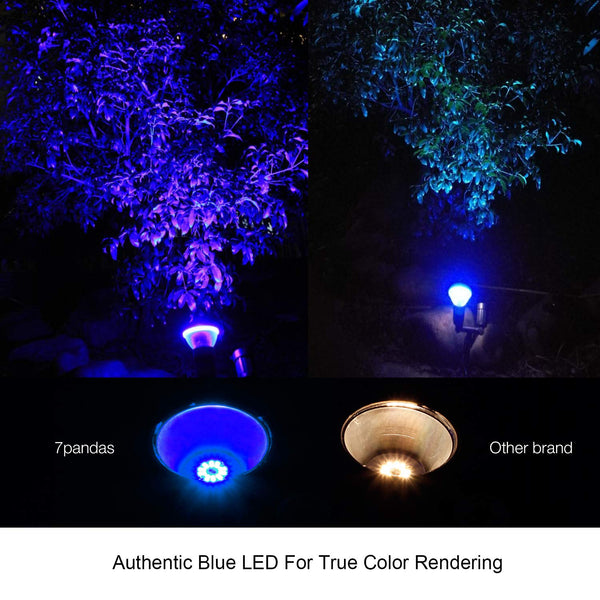 Outdoor Flood Light Bulb in Blue Light