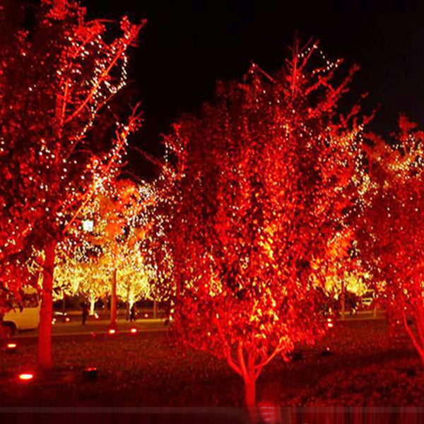 Outdoor Flood Light Bulb Red Light Under Trees