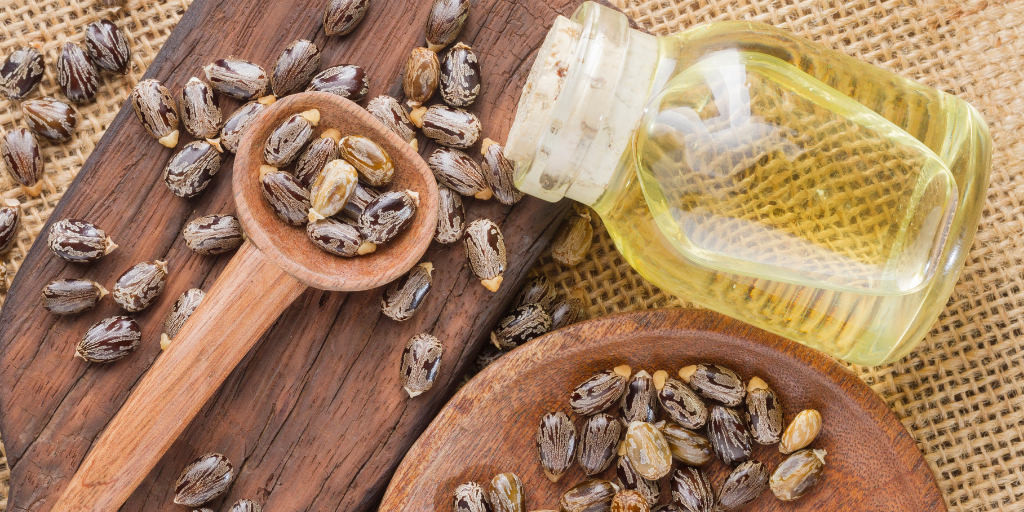 Castor seeds in a wooden spoon and bowl and castor oil in the bottle