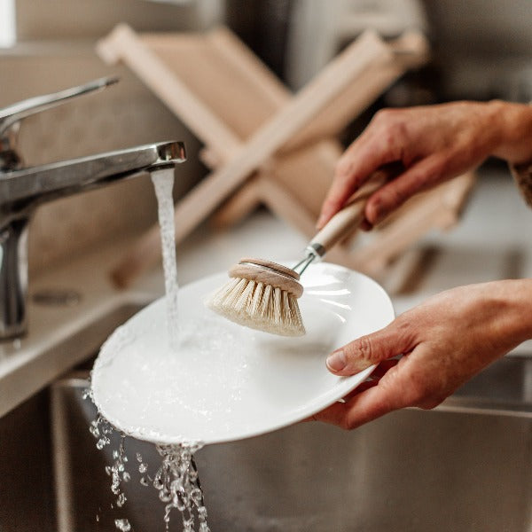 Wooden Dish Brush - Replacement Head