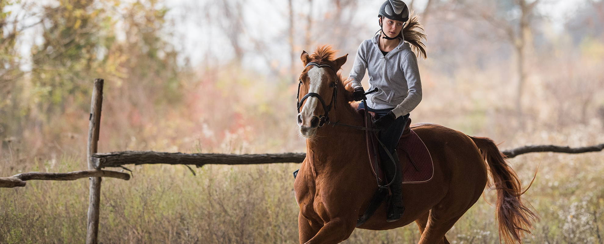 A Step-By-Step Guide To The Perfect Riding Routine – Kavallerie