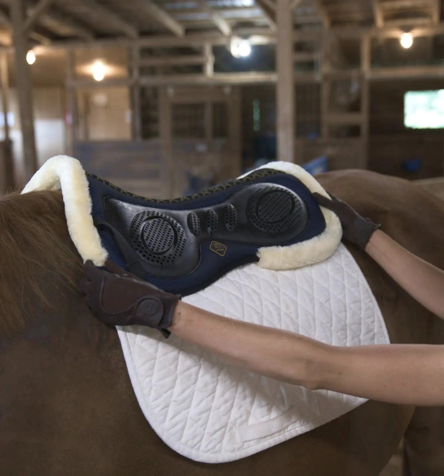Person placing a therapeutic massage pad on a horse's back in a stable.