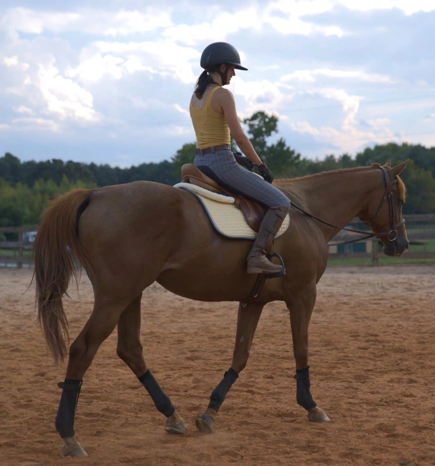 Person riding a horse in an outdoor arena with trees and clouds in the background.