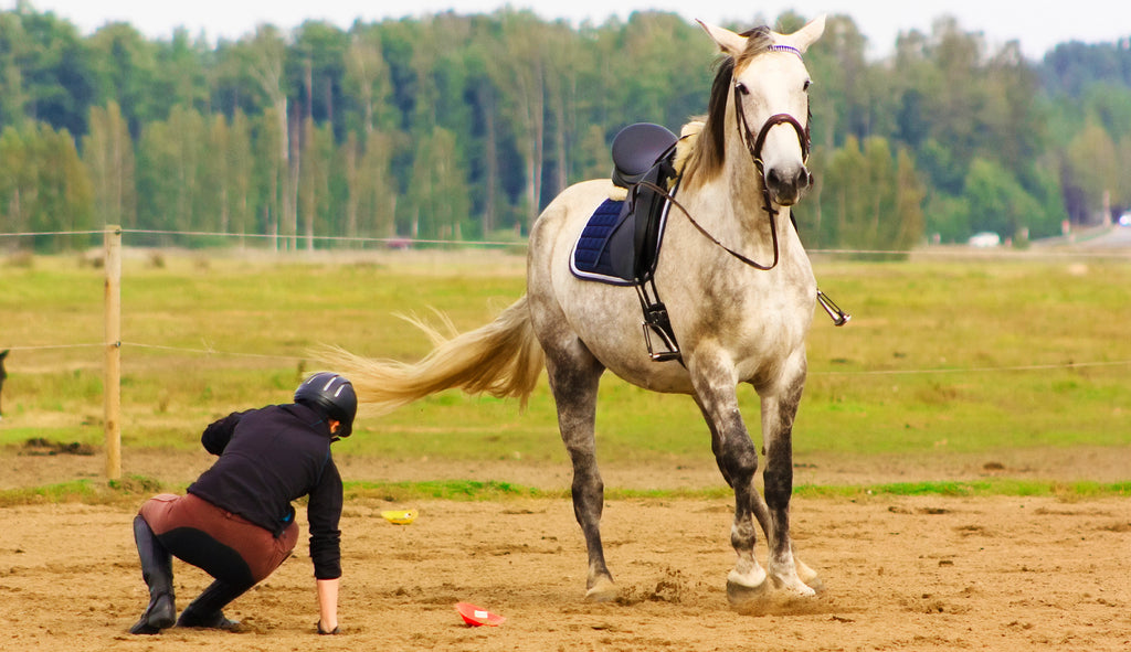 Take it easy after a fall and check on your horse if they suffered any injuries themself.