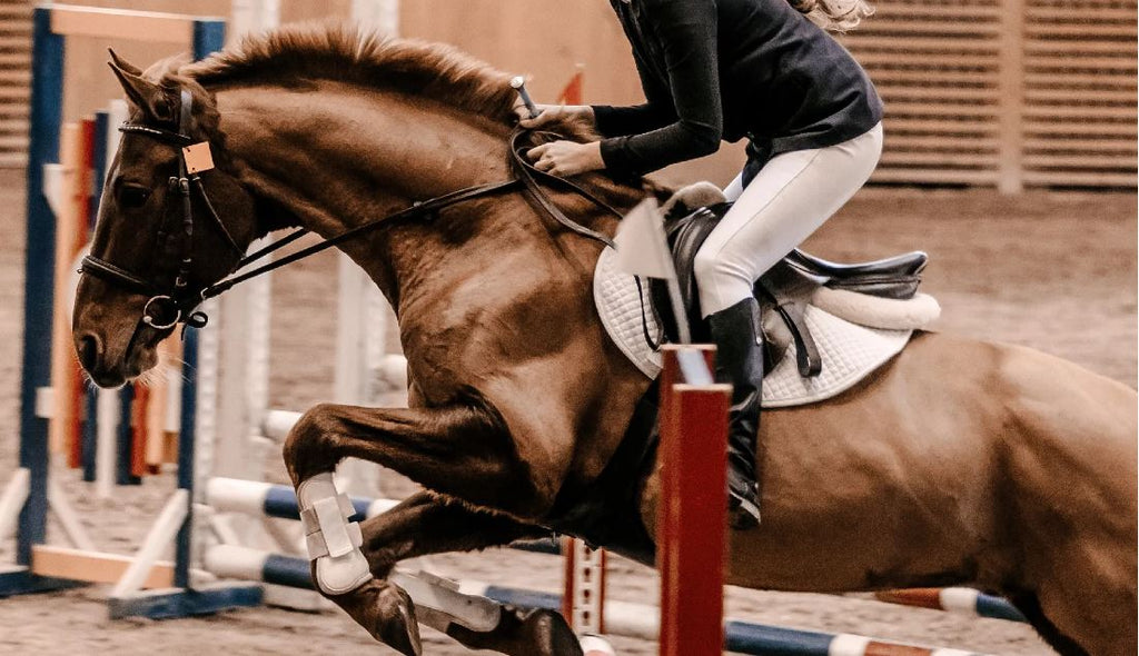 Ensuring that your arena is as risk-free as possible is one of your responsibilities as an equestrian.