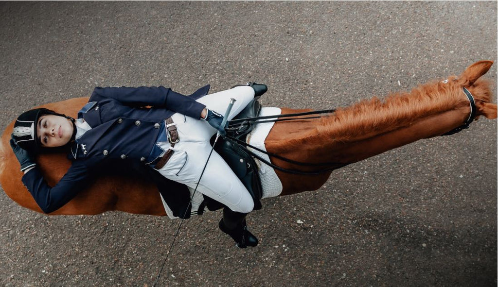 Invest in educational horse books to deepen your understanding of your craft and equine.