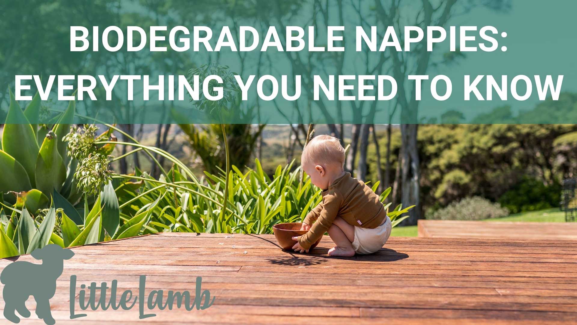 Biodegradable Nappies Everything You Need to Know
