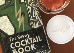 The Savoy Cocktail book