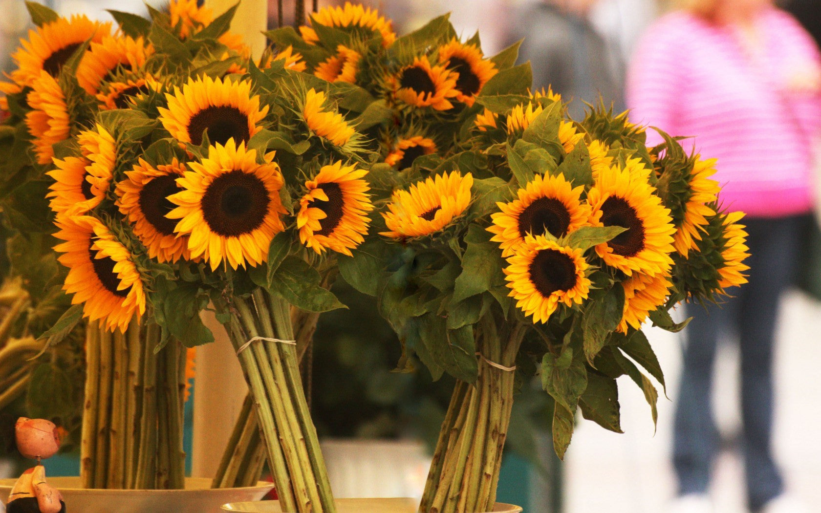 6928545 Sunflowers Bouquets Flowers Jpg